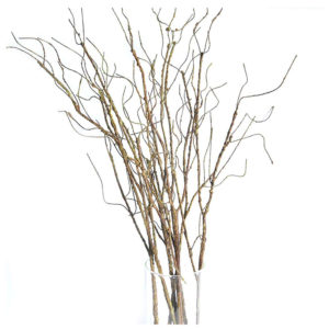 Willow Stem - Ask about price
