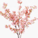 Cherry Blosson Branch - Ask about price